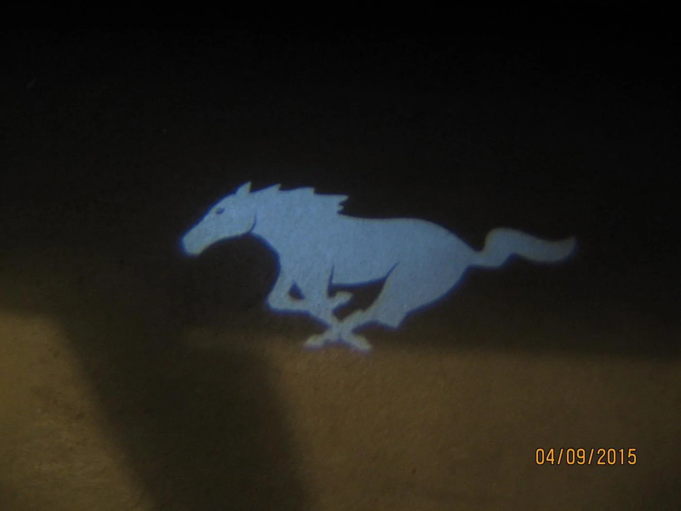 15 Pony Hologram.webp