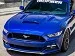 Tru Fiber RamAir Hood.webp