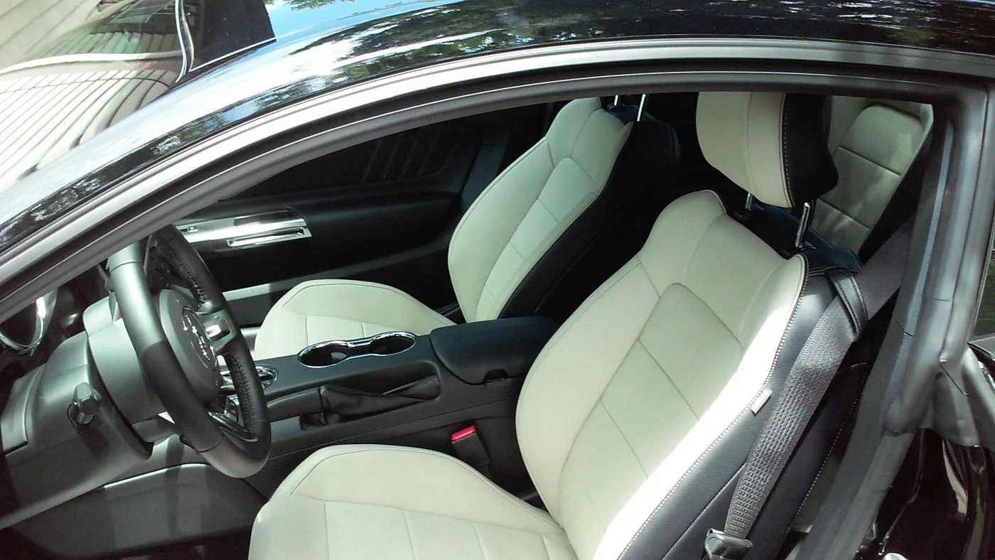 2015 seats (1).webp