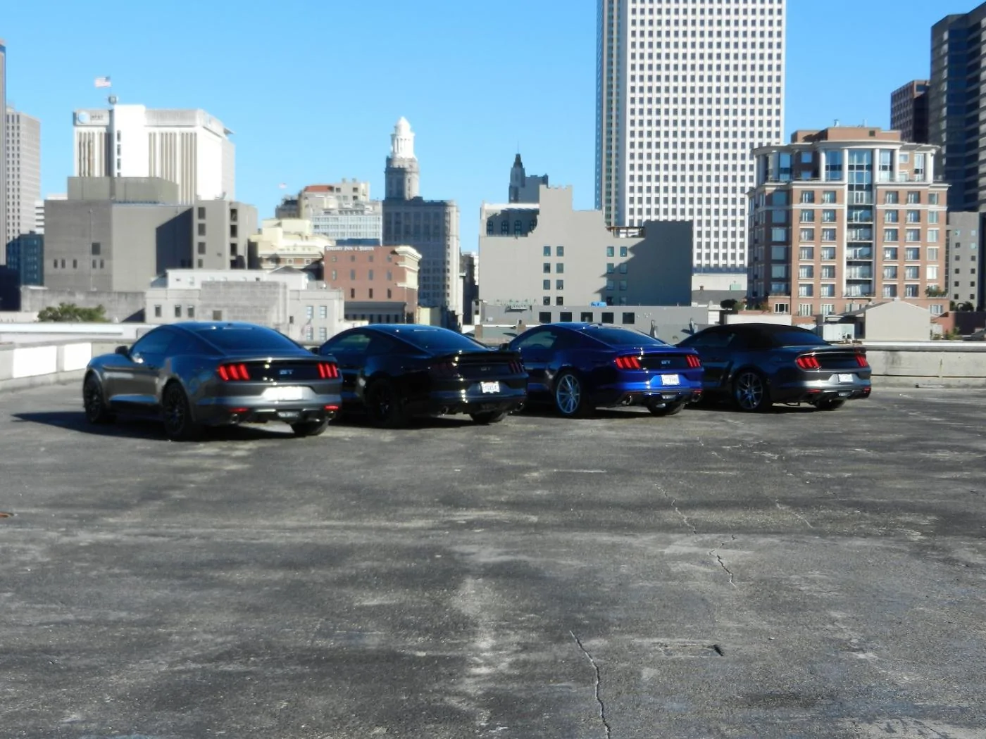 DSCN0421.webp
