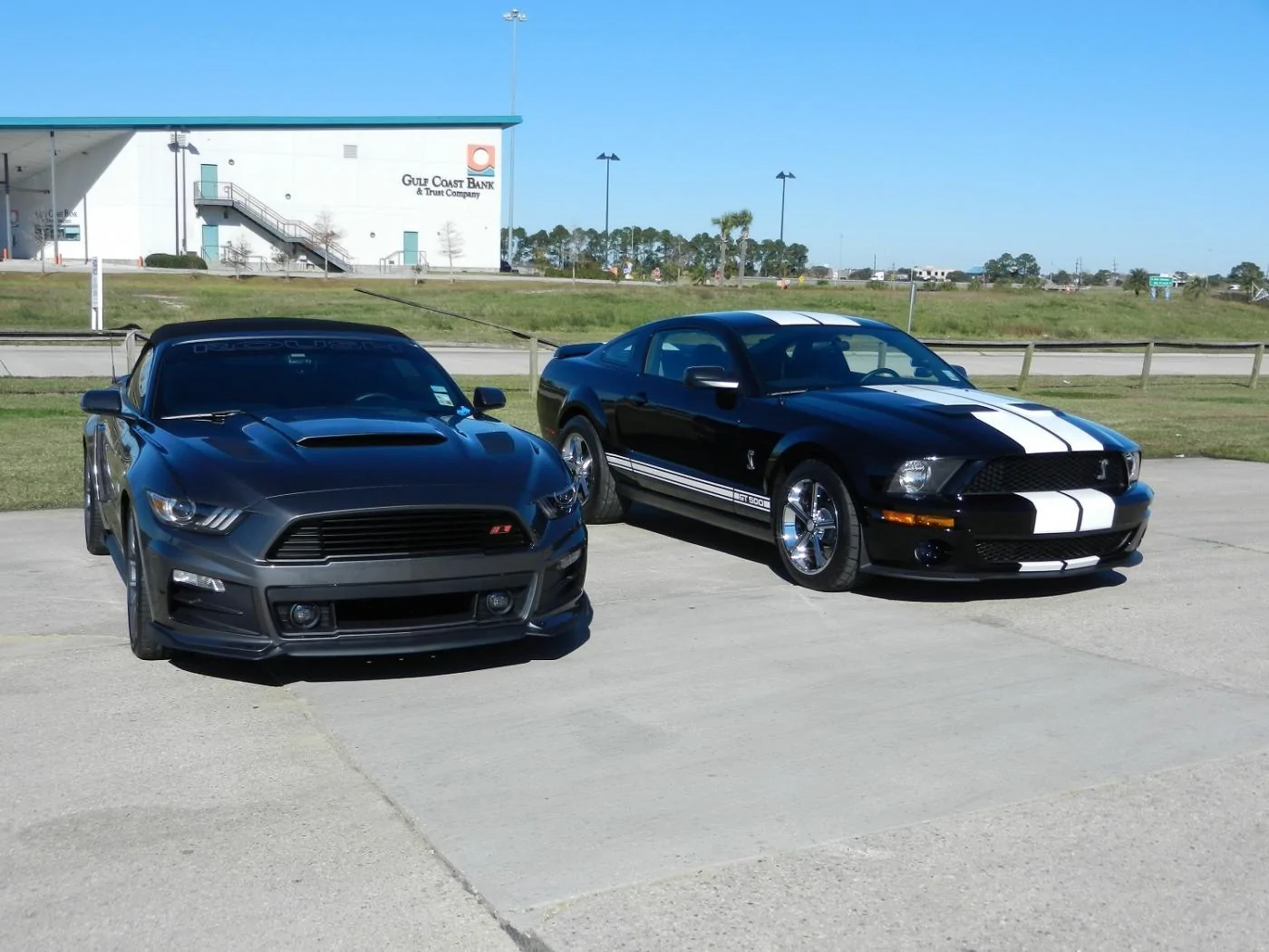 DSCN0463.webp