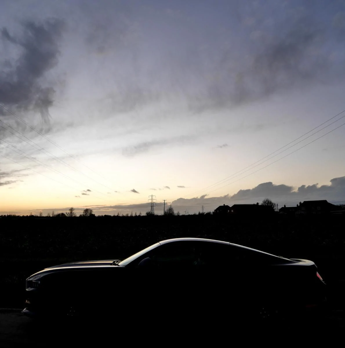 P1000380dark.webp