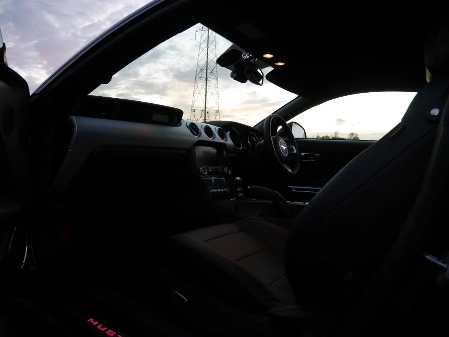 P1000370.webp