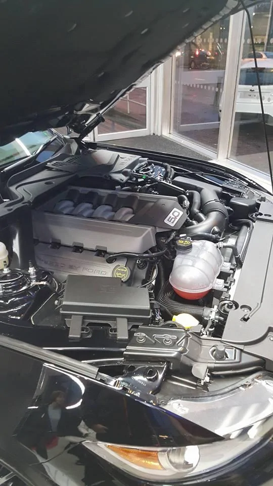 GTEngineBay.webp