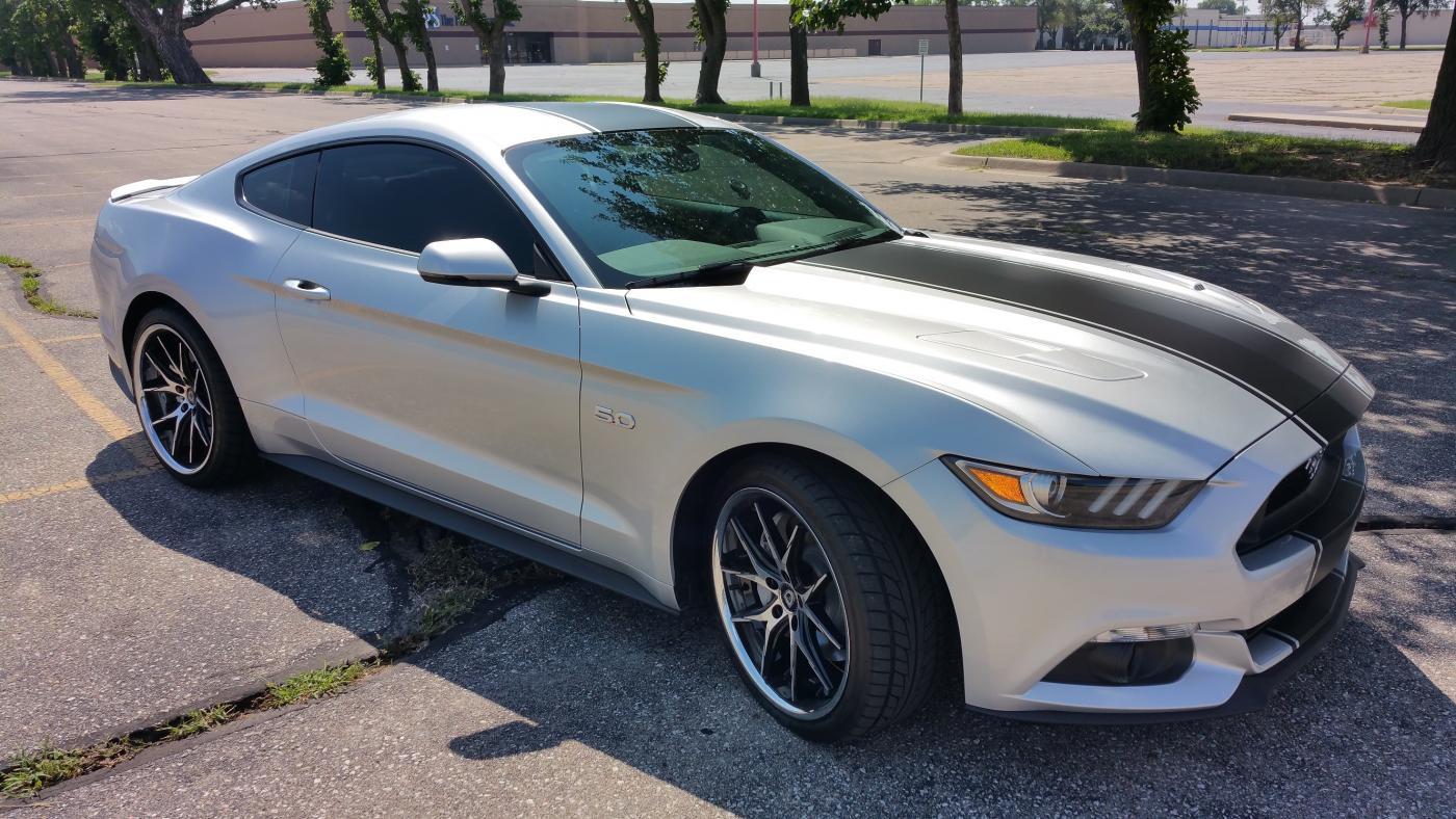 mustang pside.jpg