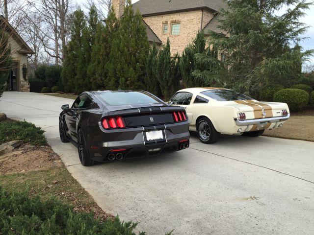 GT350 Butts.jpg
