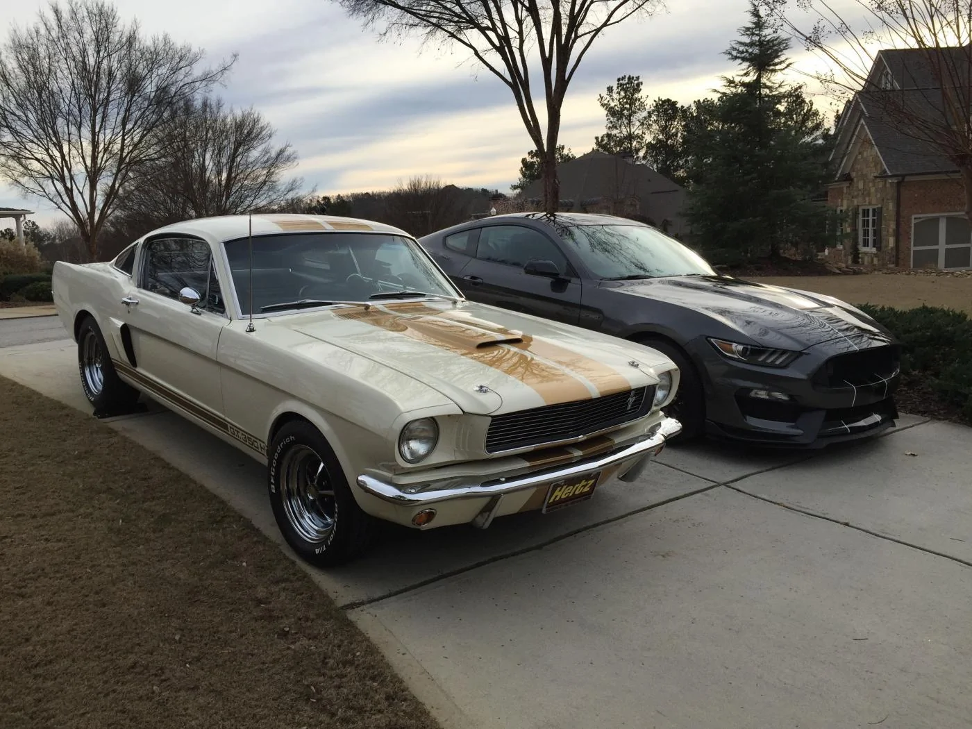 GT350 5.webp