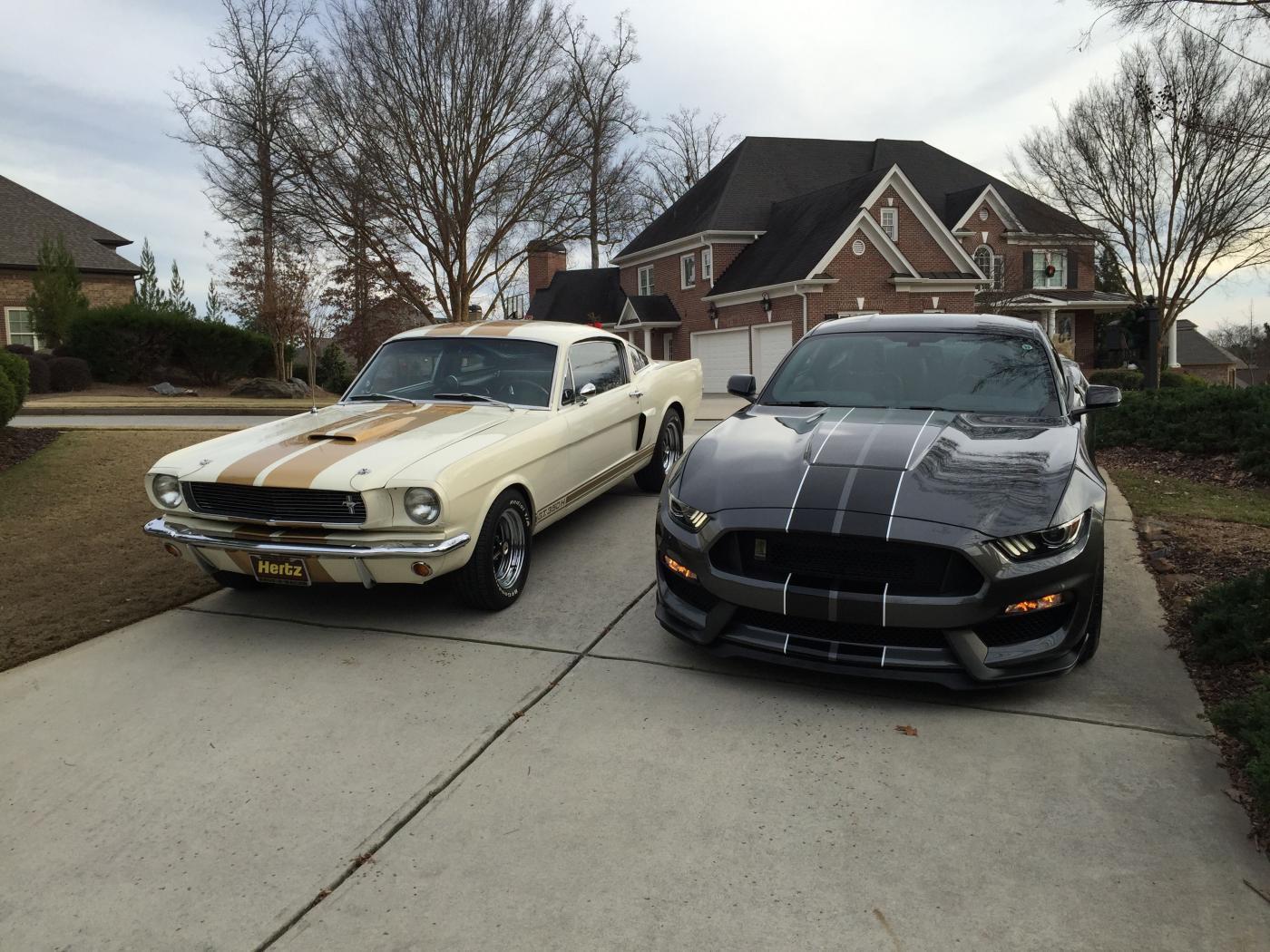 GT350 6.jpg