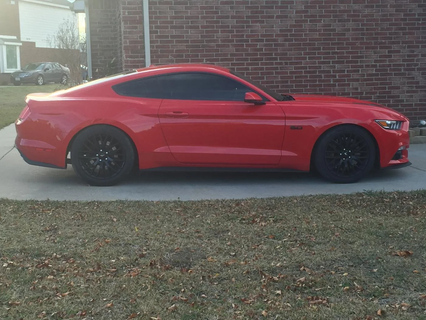 image.webp