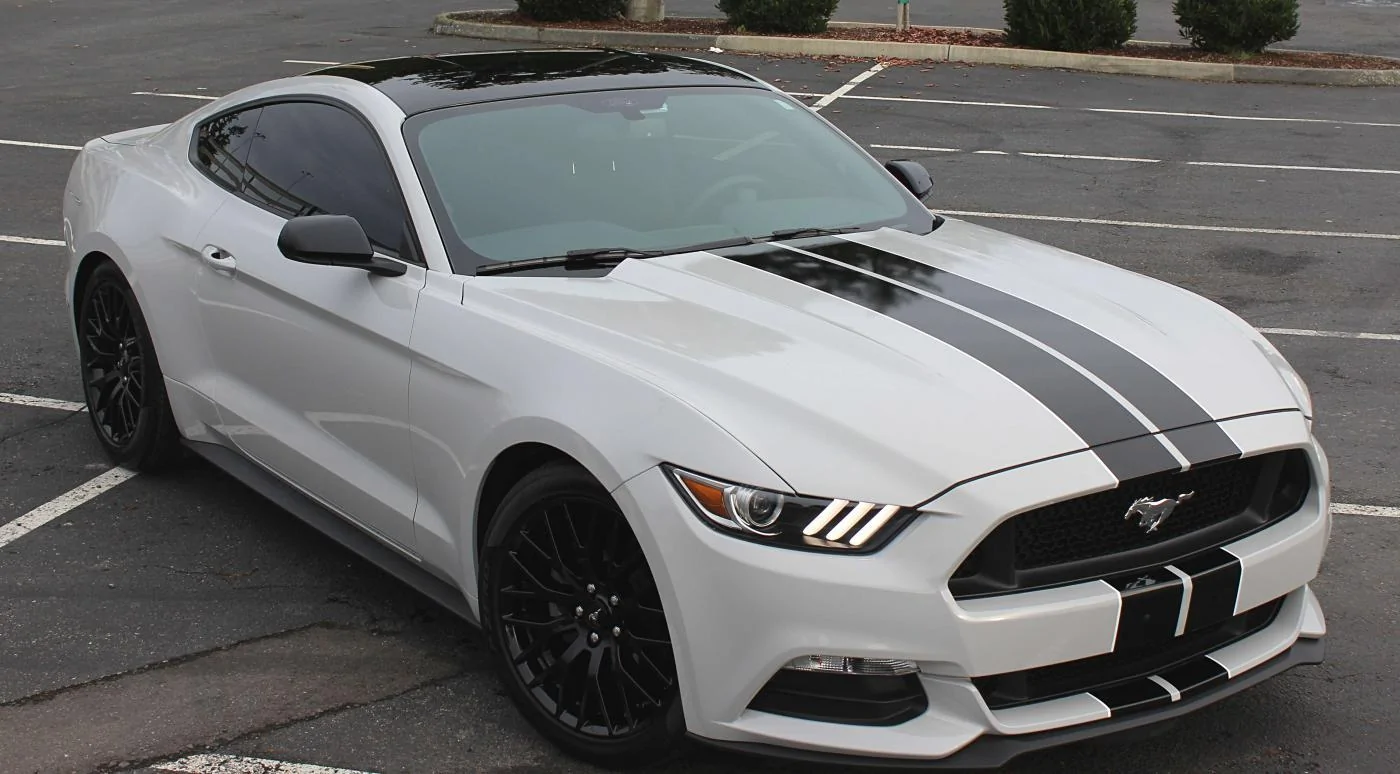 mustang 6g.webp