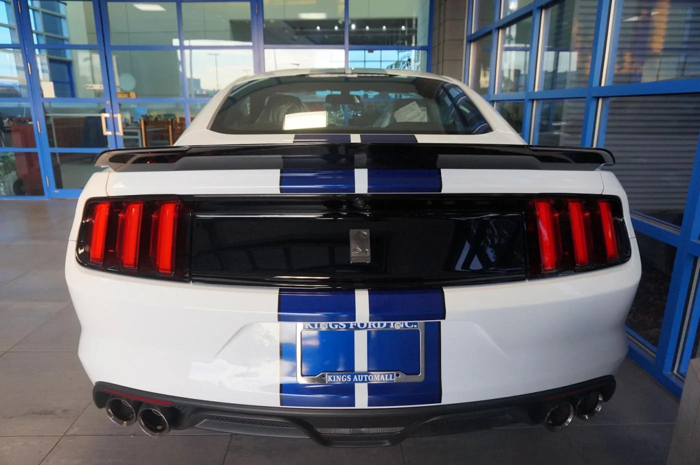 DSC02097_resize35.webp