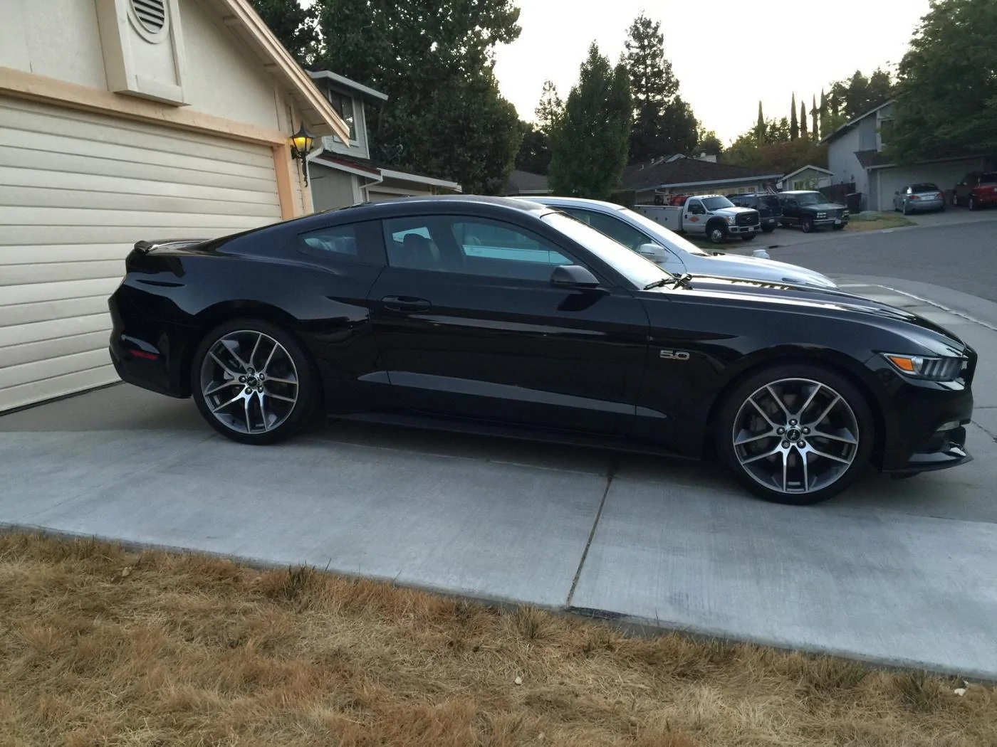 Mustang0198.webp