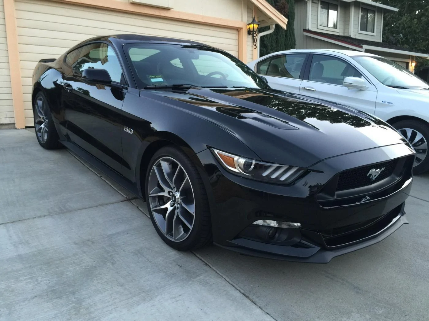 Mustang 0197.webp