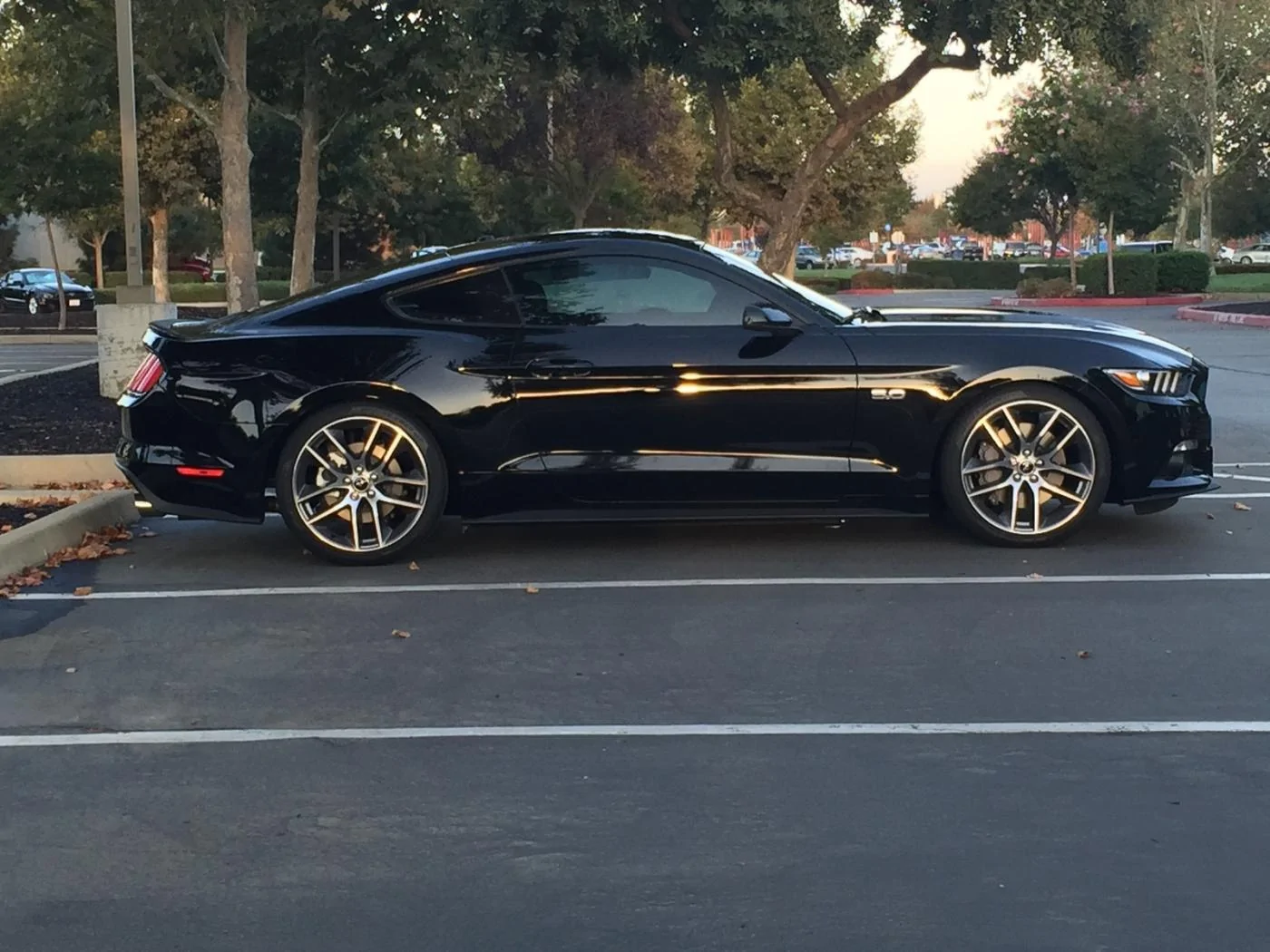 Mustang 12.2400003.webp