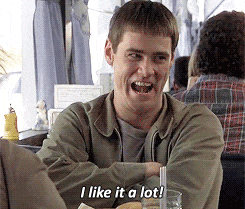 giphy.gif?cid=ecf05e47yf6pwgrbptsog51onqgtw6vtz0qea3yogsldid4e&rid=giphy.gif