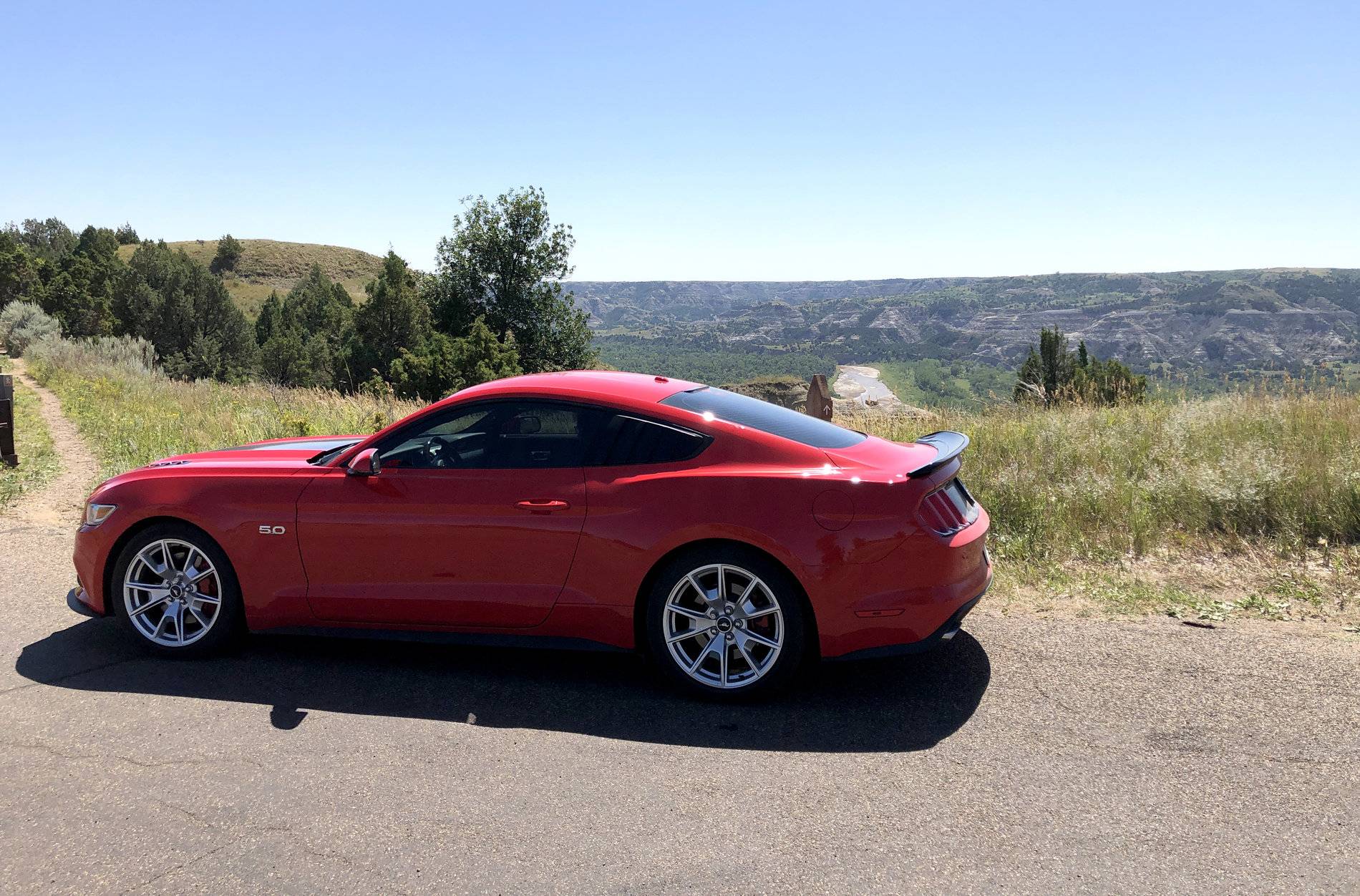 stang4.jpg