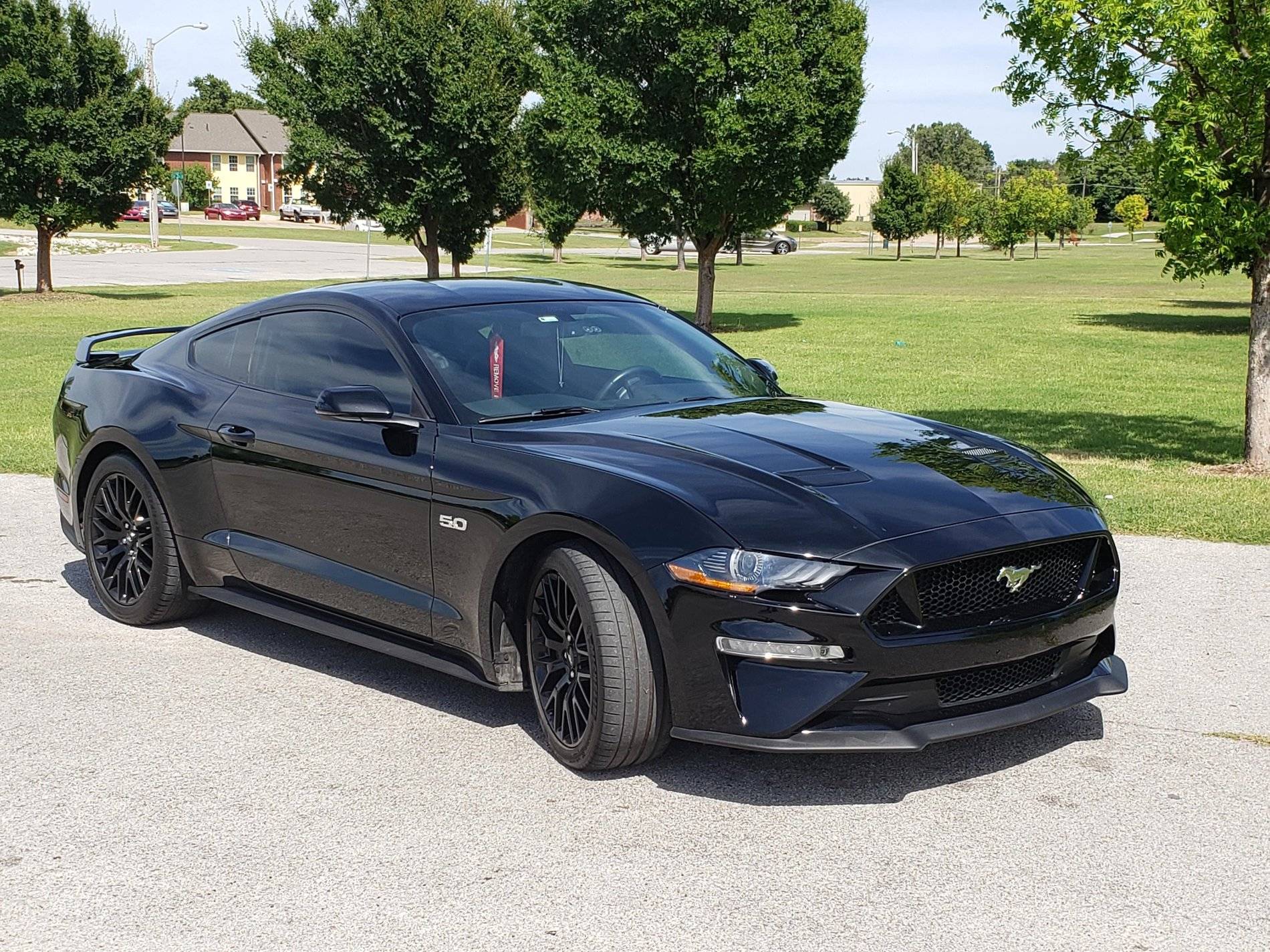 2019 Mustang GT PP1.jpg