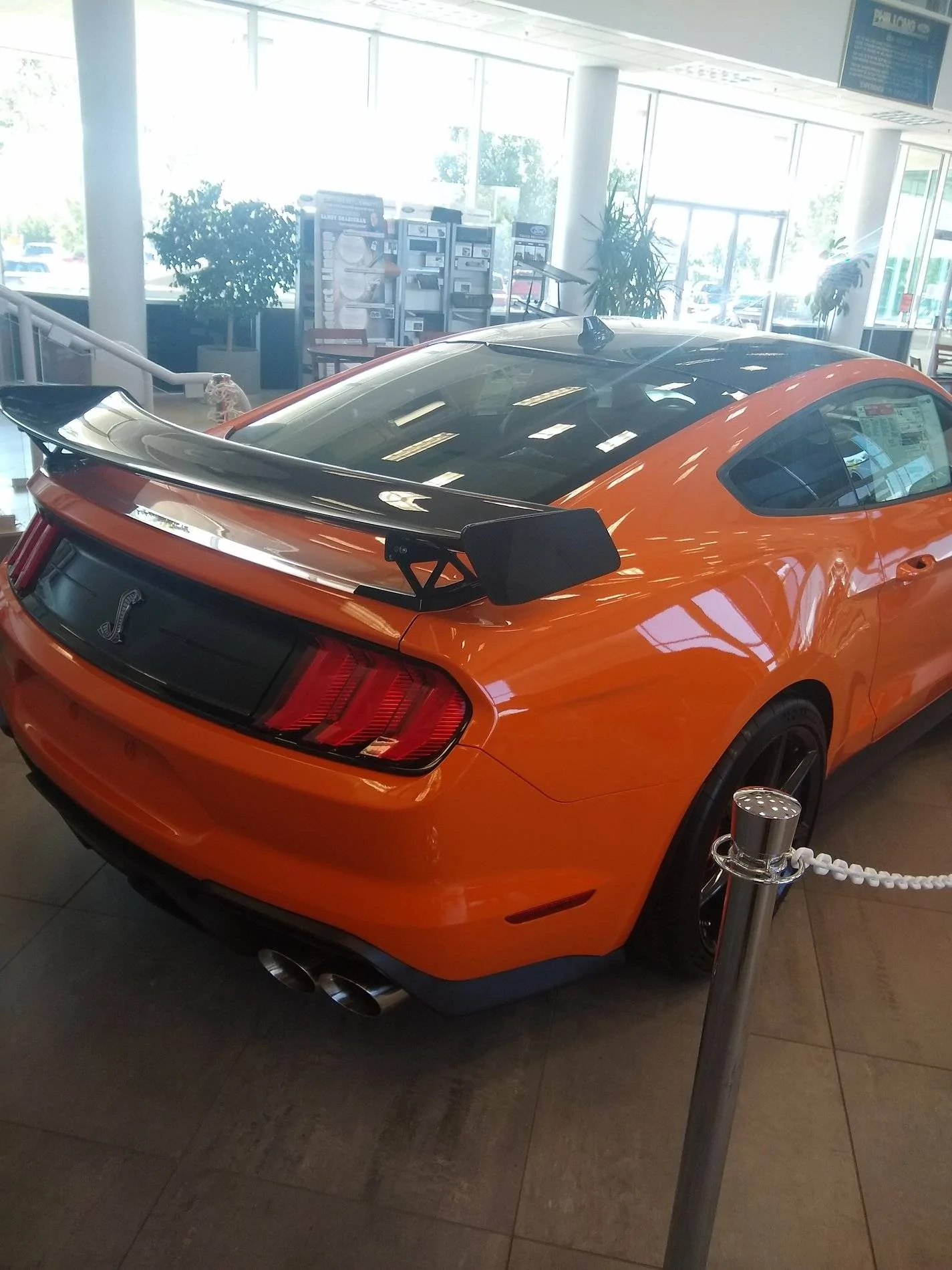 IMG_20200901_101250272.webp