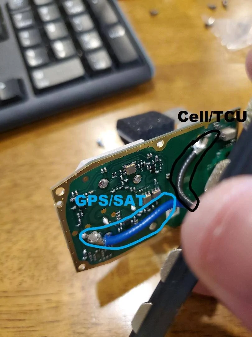 coax1.webp