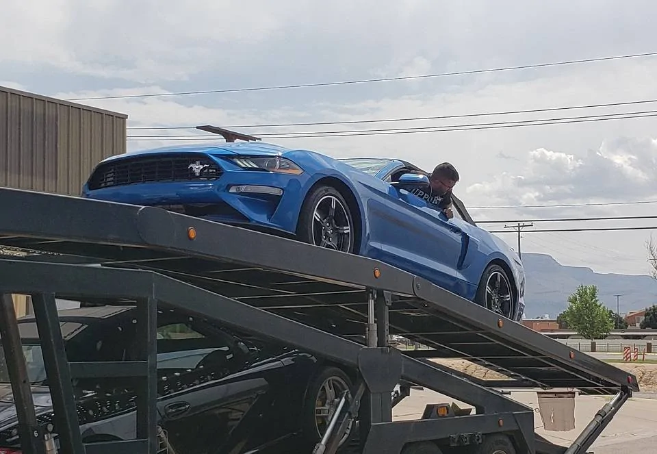 Mustang on Truck.webp