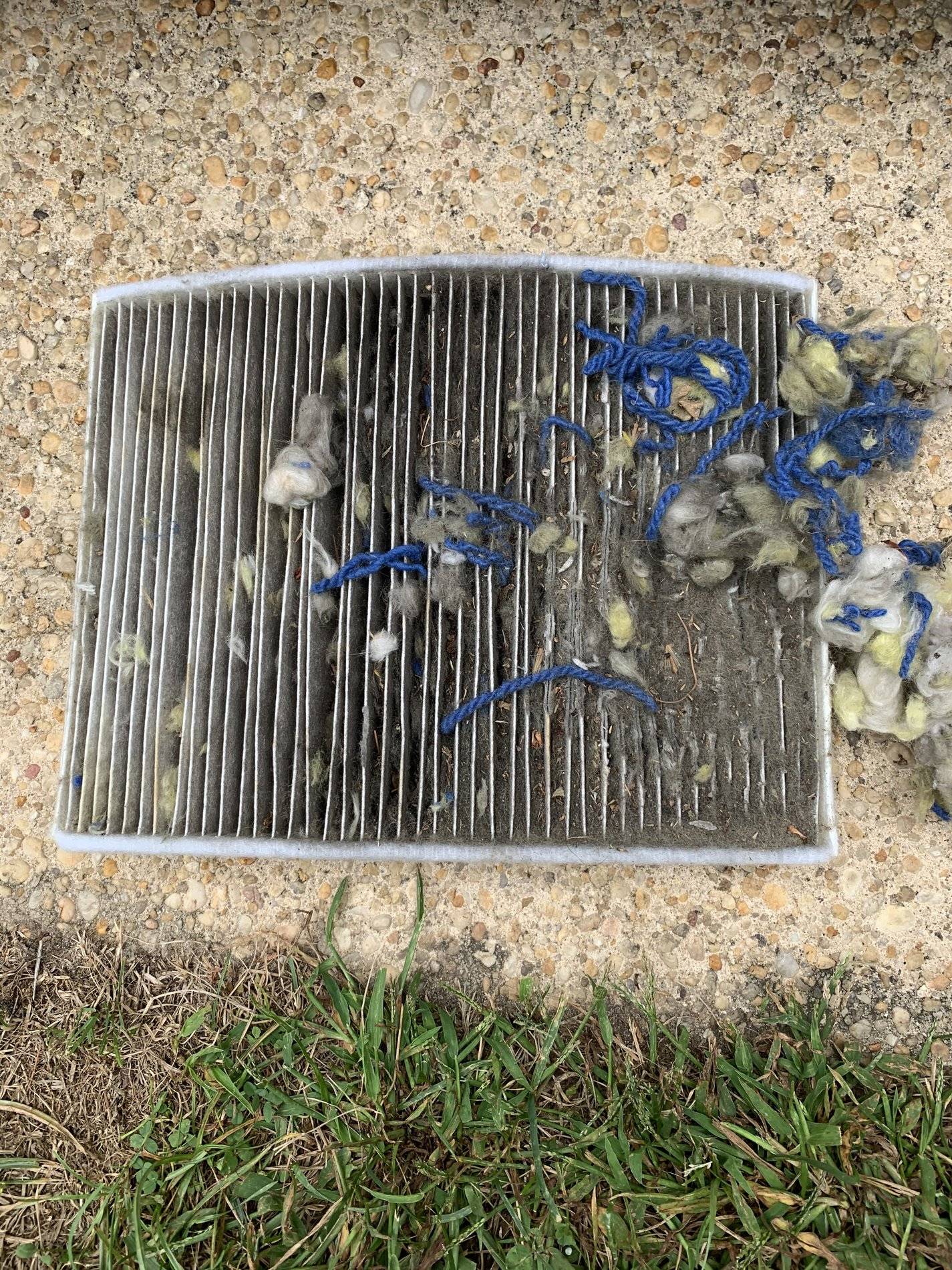cabin filter .jpg