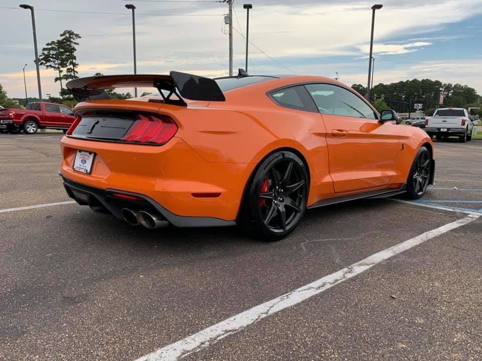 2020 Shelby 3 .jpg