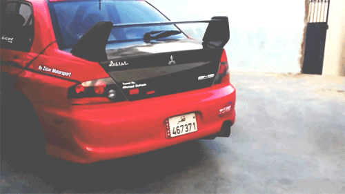 tumblr_n82s1v4m8p1sls6rho1_500.gif