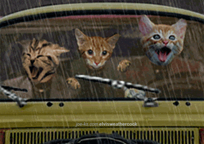 Animated+005.gif