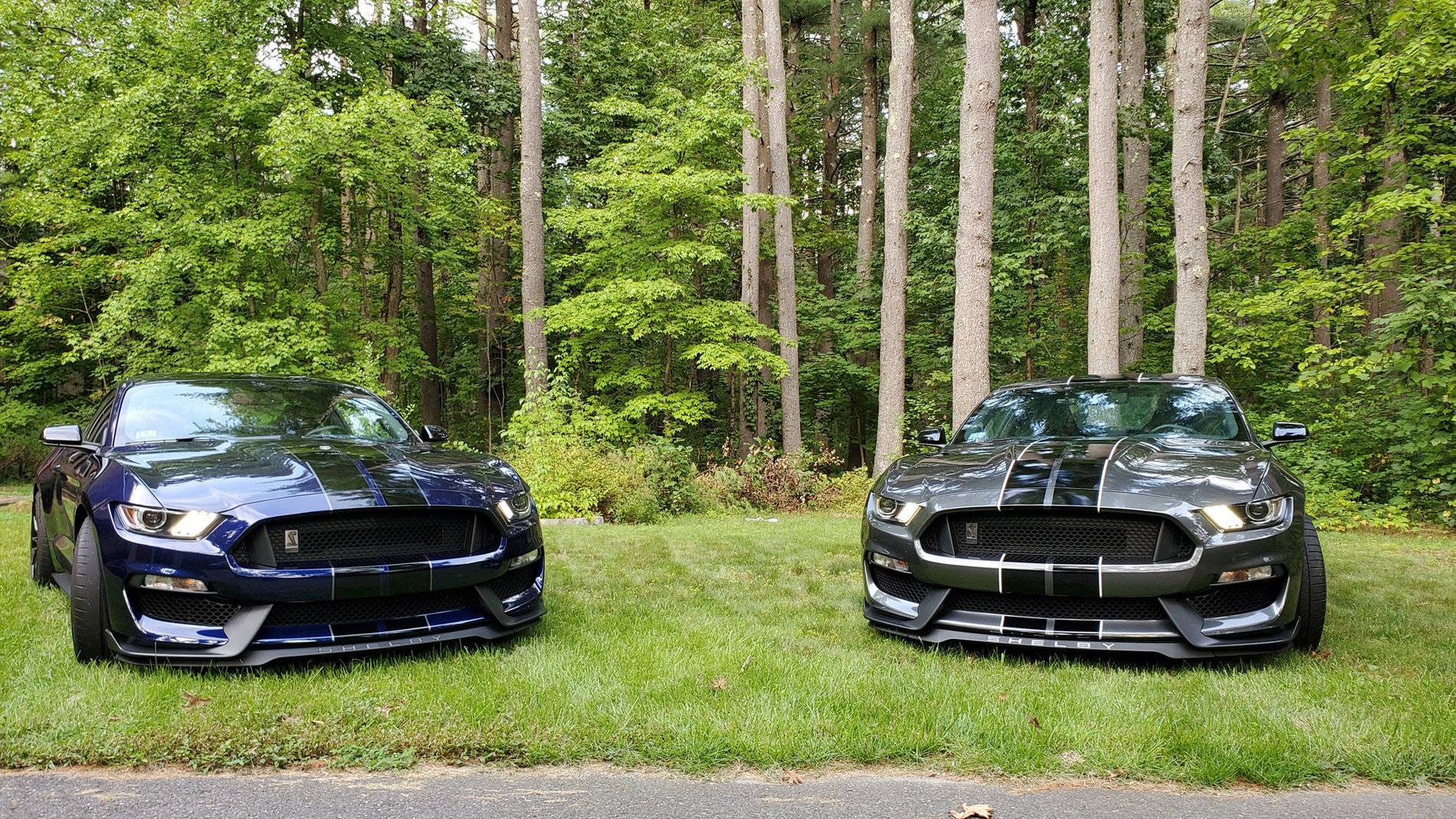 20200907_171856mini.jpg