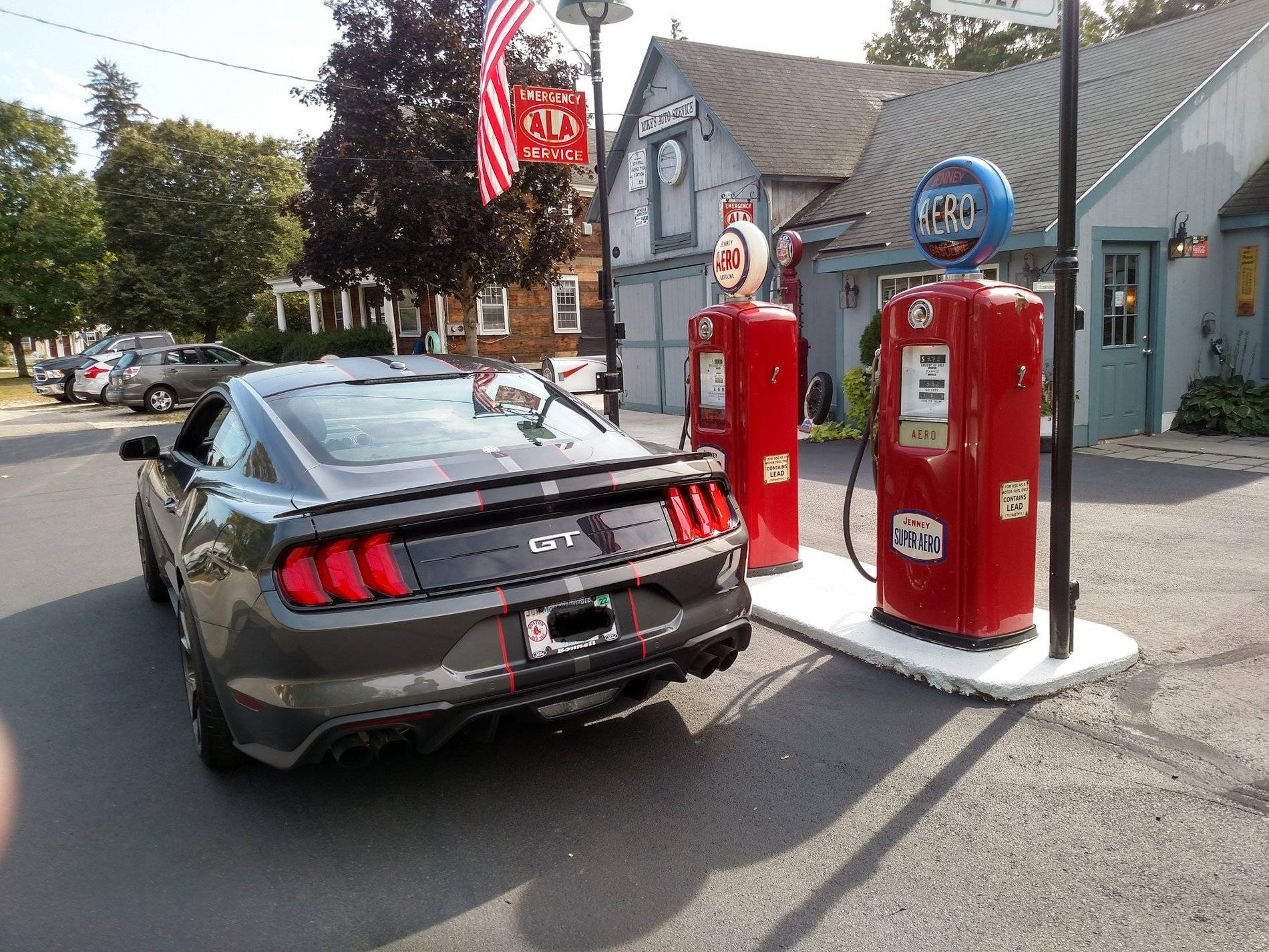 Mustang.jpg