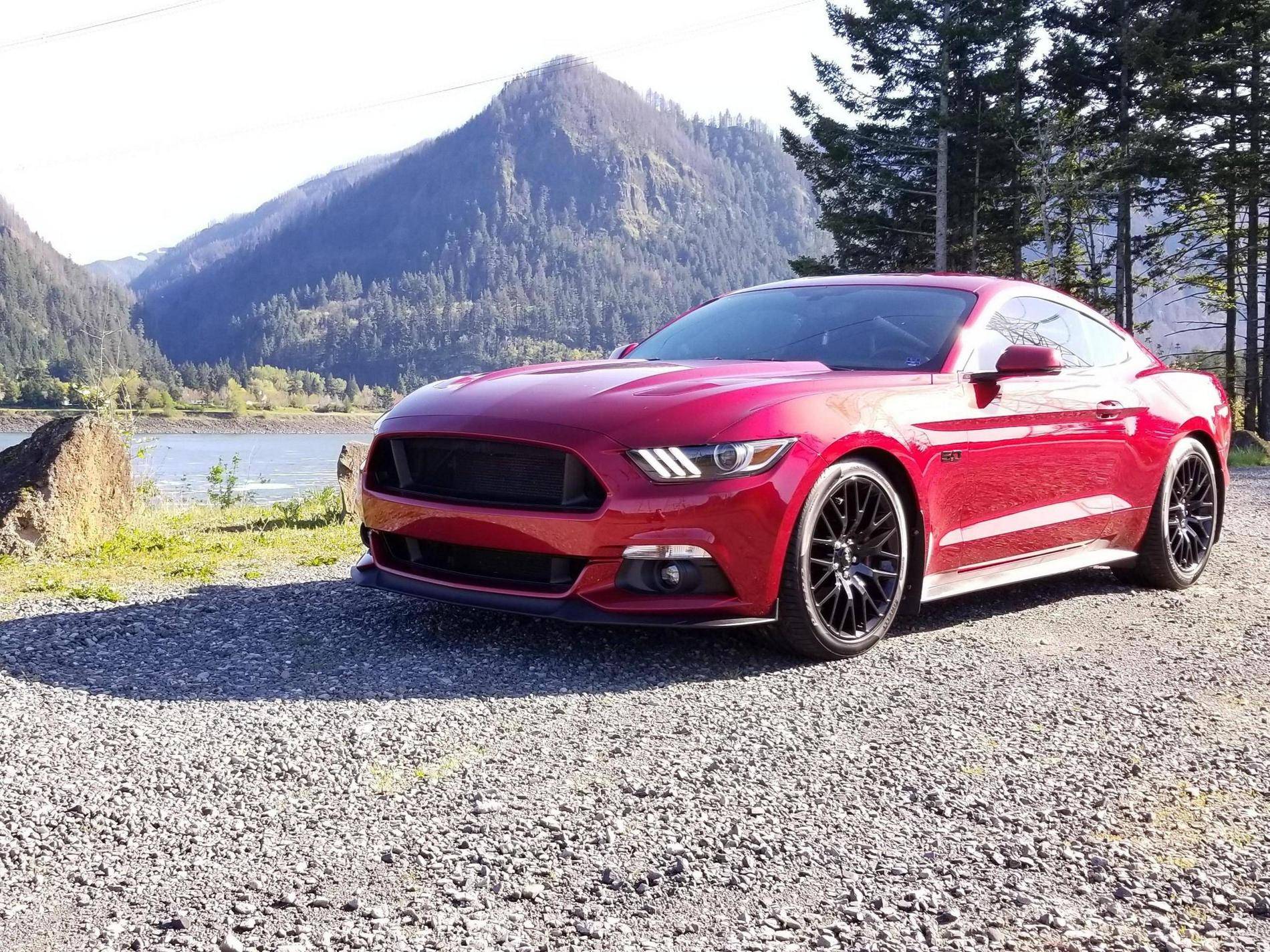 D23uz88.jpg
