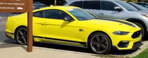 21MY Mach 1 Grabber Yellow 6.jpg