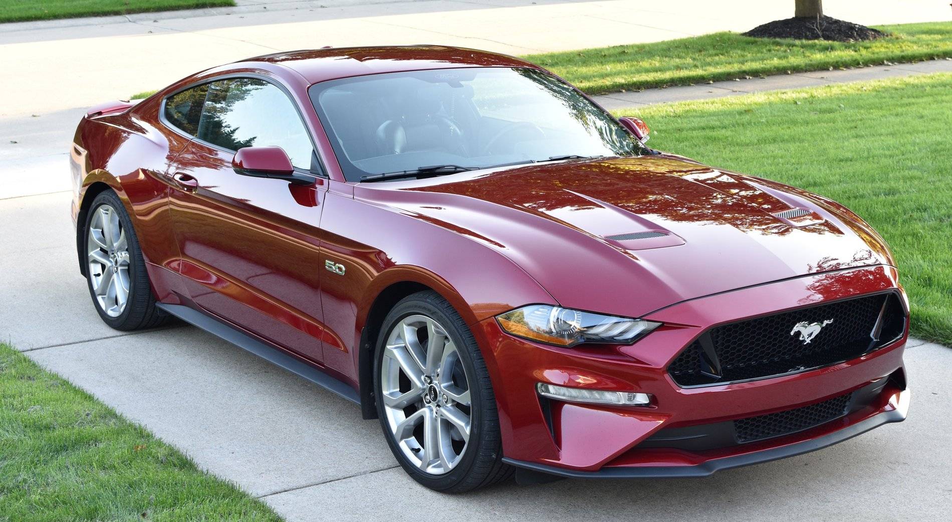 Mustang_Wax_Shine (2).jpg