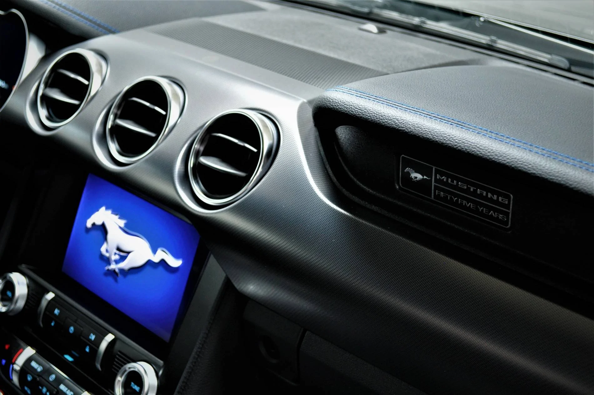 Mustang-1.jpg