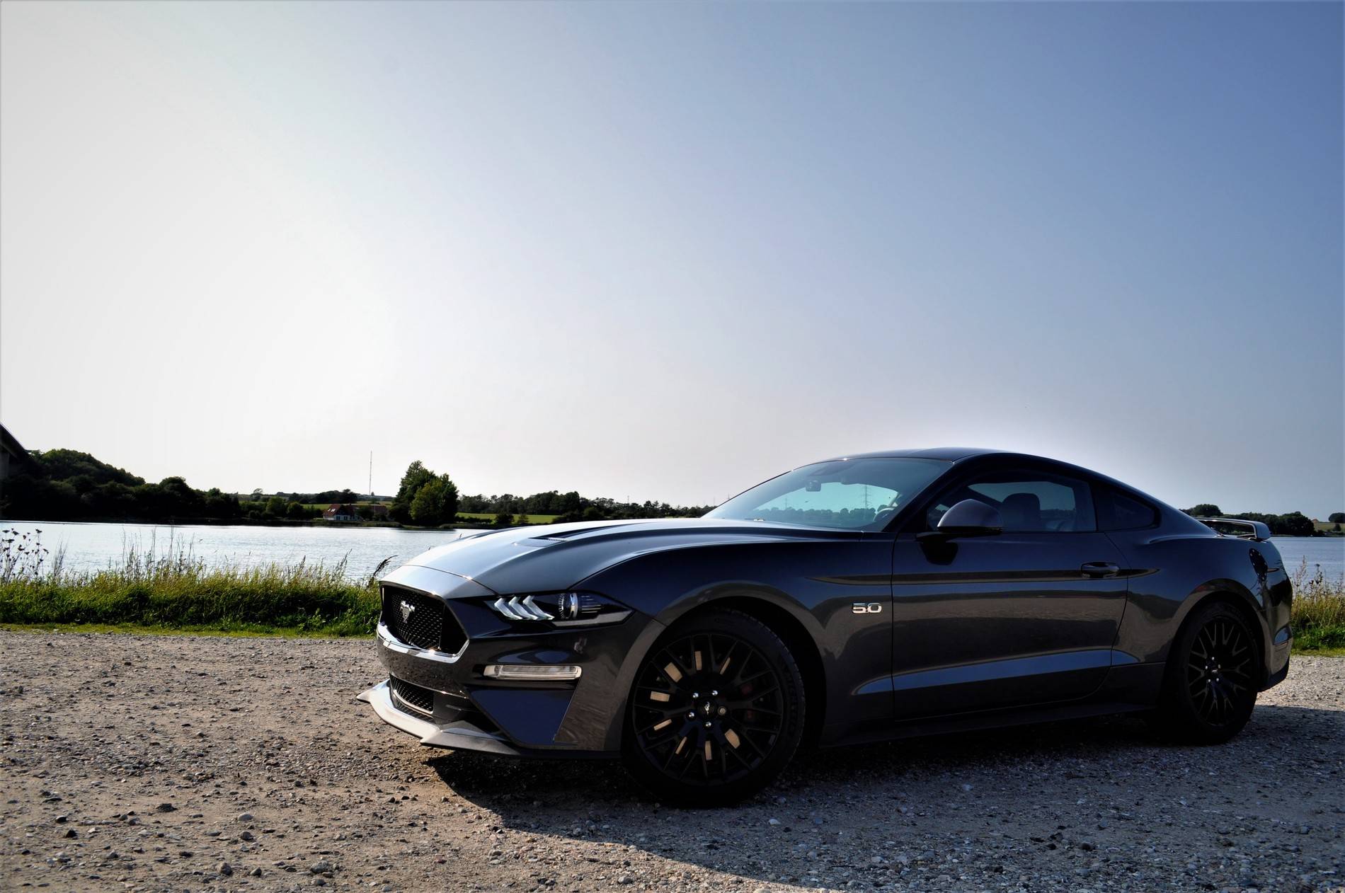 Mustang-2.jpg
