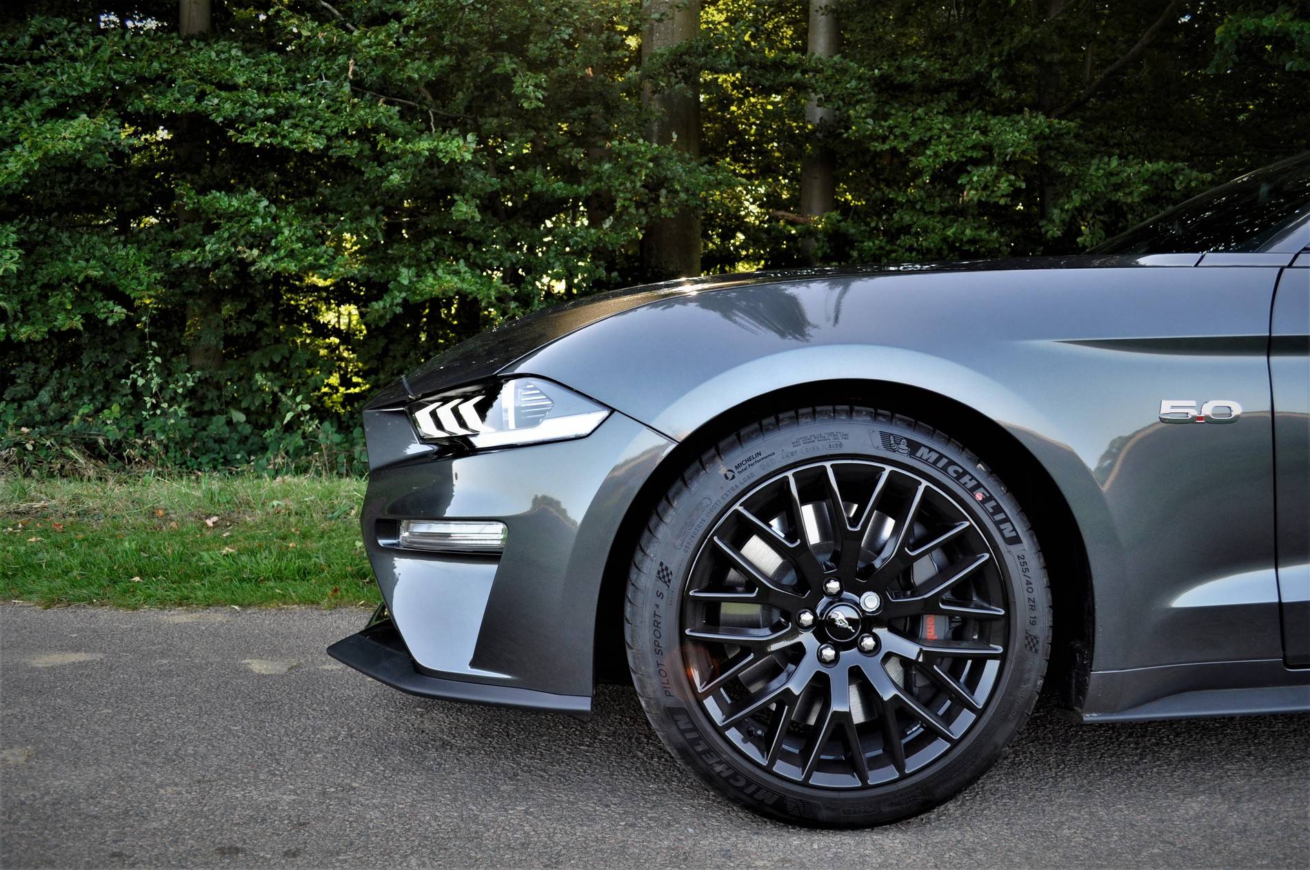 Mustang-4.jpg