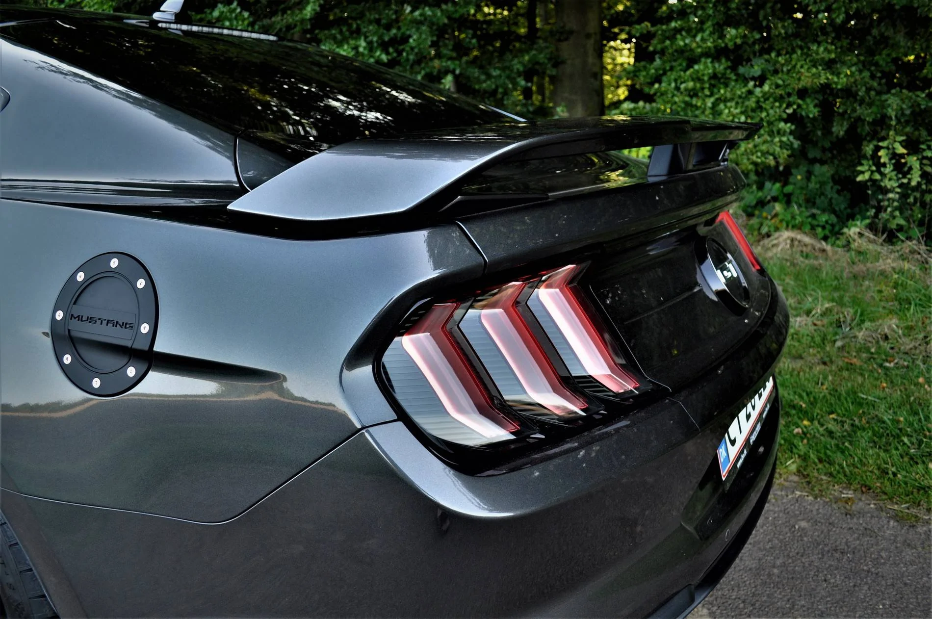 Mustang-5.jpg
