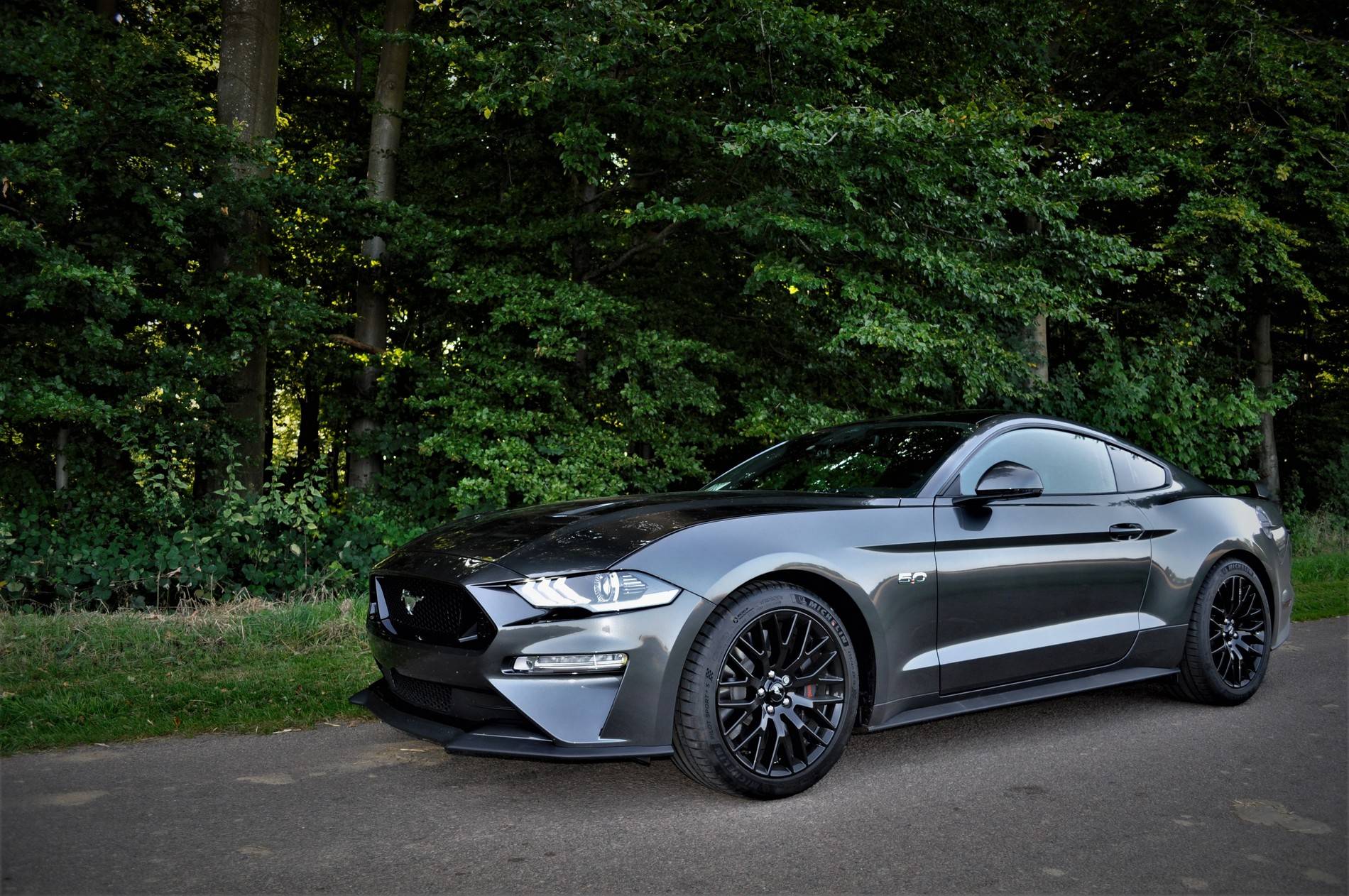 Mustang-6.jpg