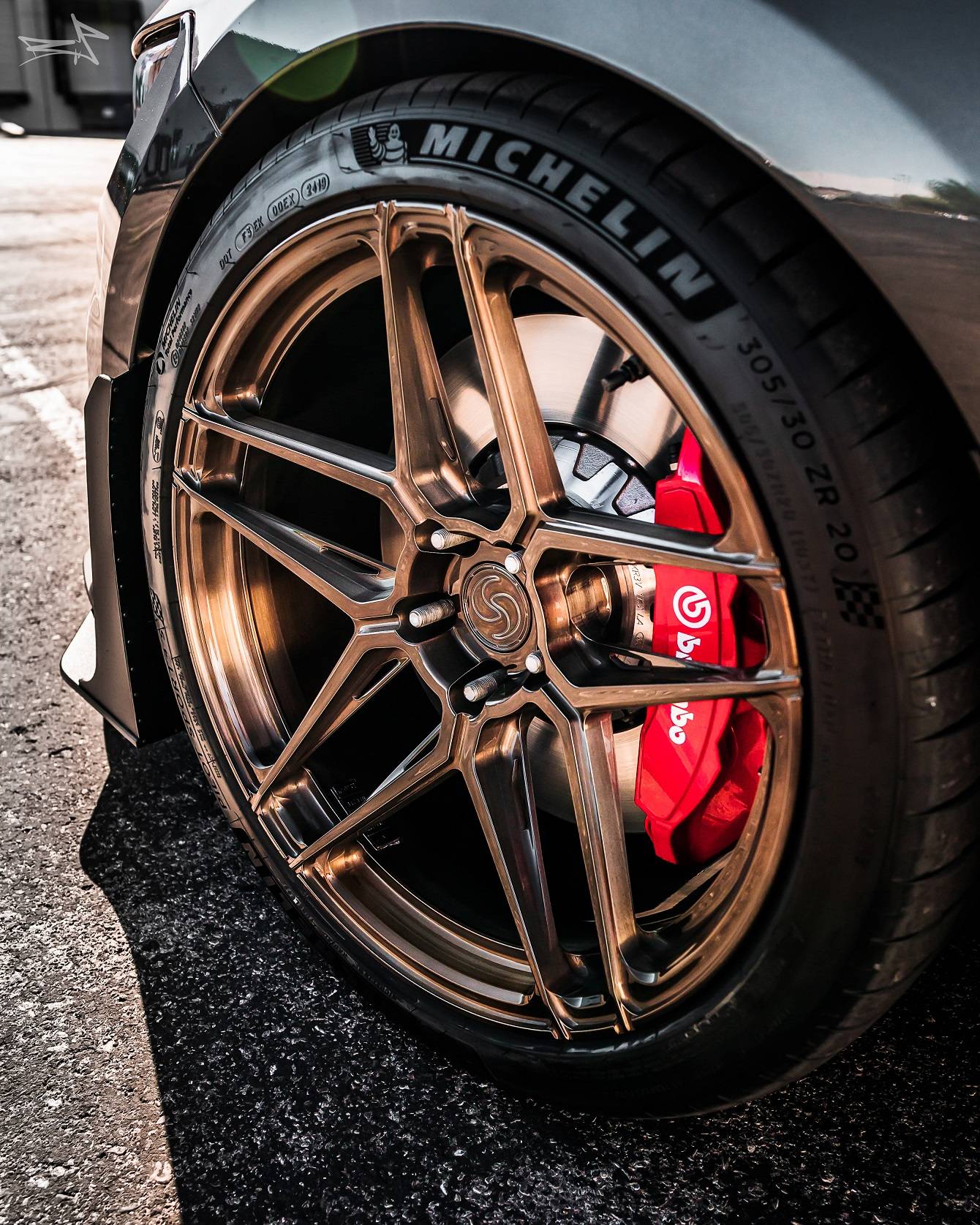 SV701 GT350 Brushed Bronze Tinted Chris B (1).jpg