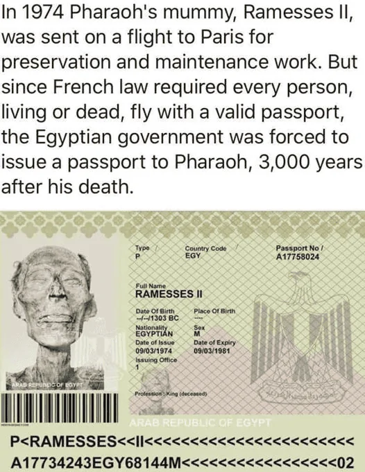1600375053583.webp
