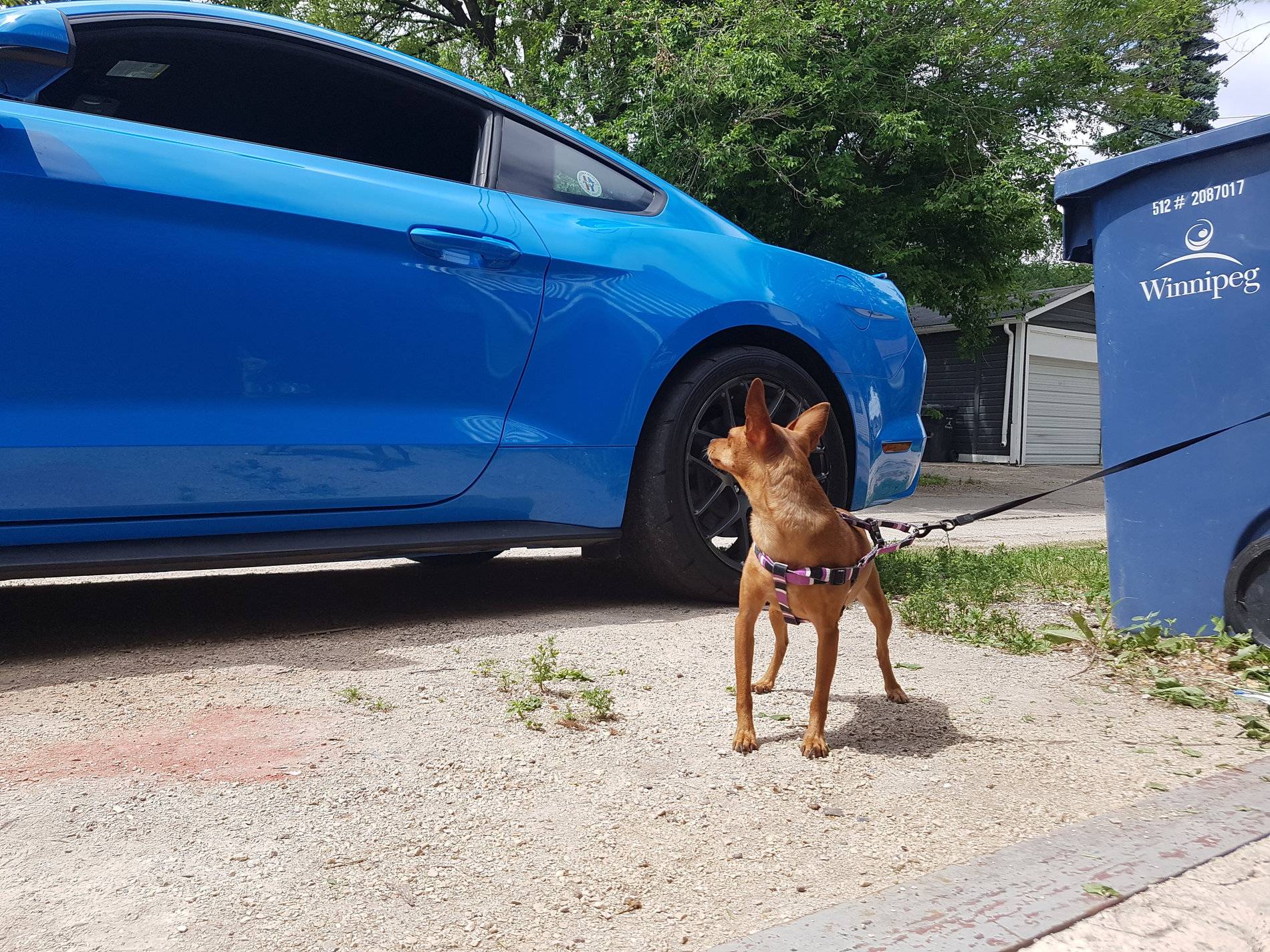 20180624_141724.jpg
