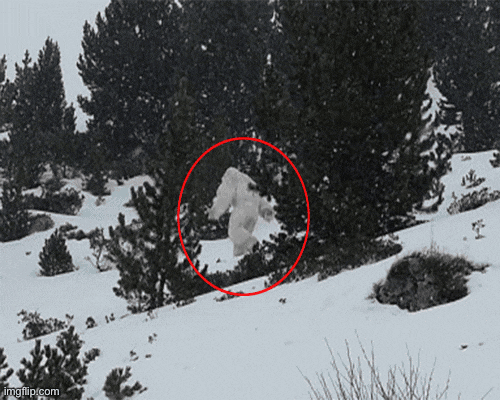3-A80-F80-B-1-A31-4565-938-C-7597-EA2-E8-CF7.gif