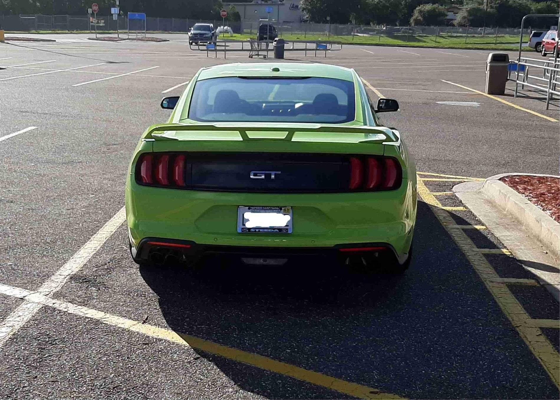 MUSTANG BACK.jpg