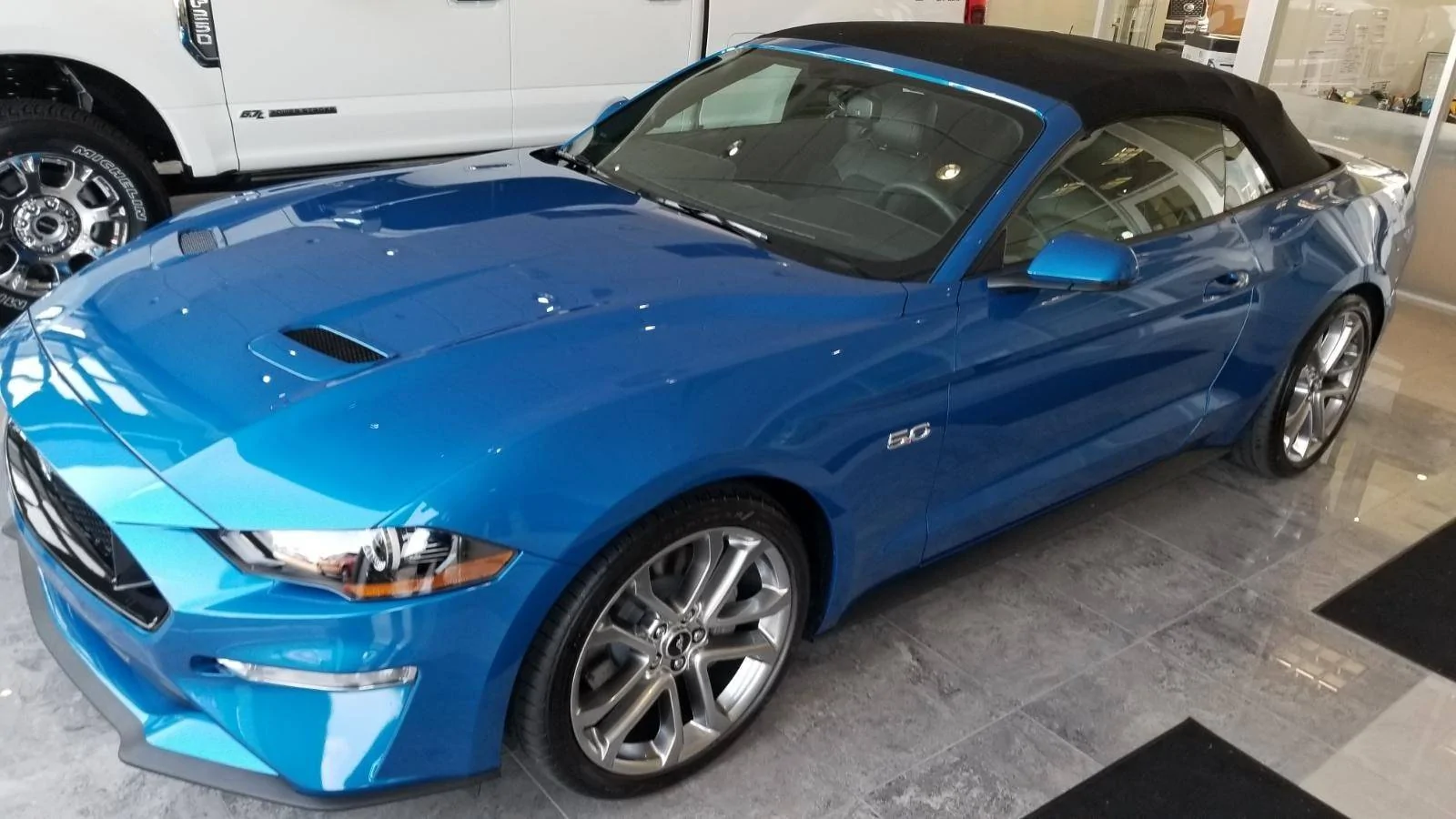 Mustang1.jpg