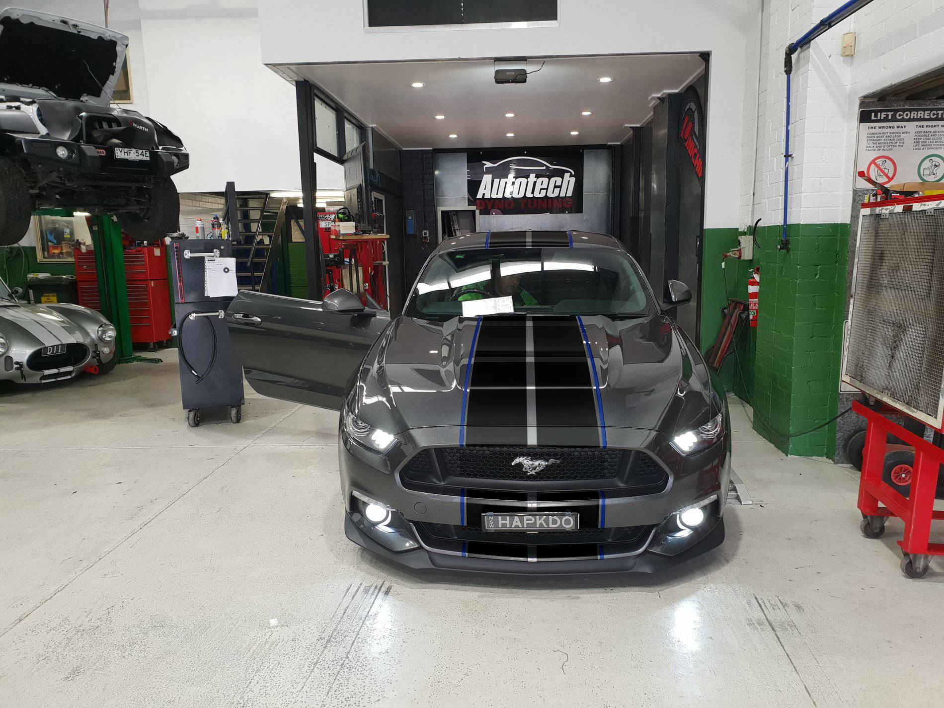 20181115_134643 Black Stripes.jpg