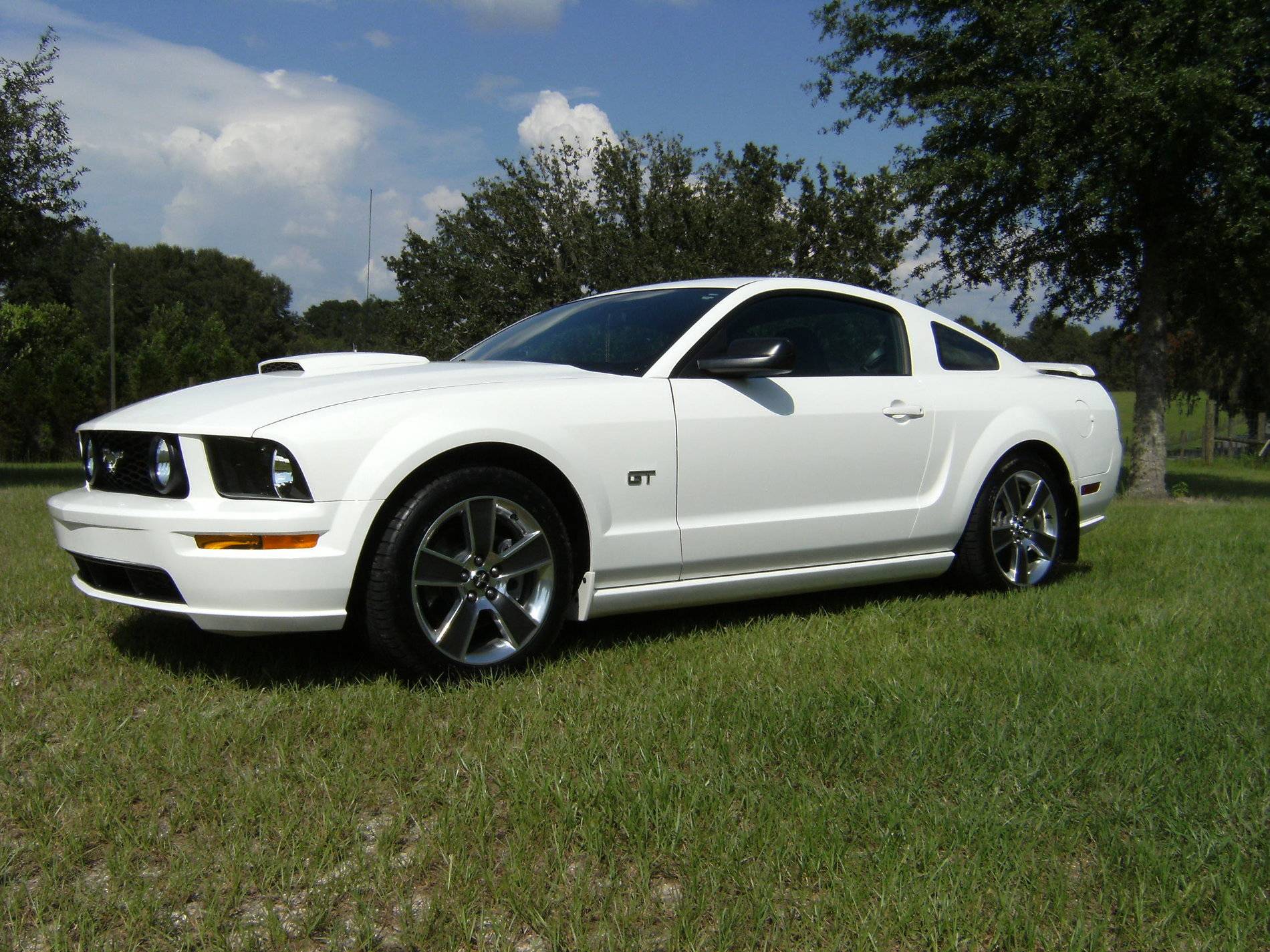 08 Mustang GT001.jpg