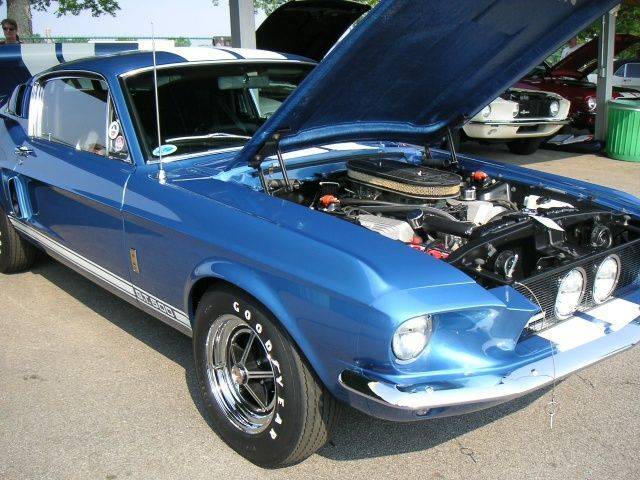 67 GT500 SAAC 31 cmp.jpg