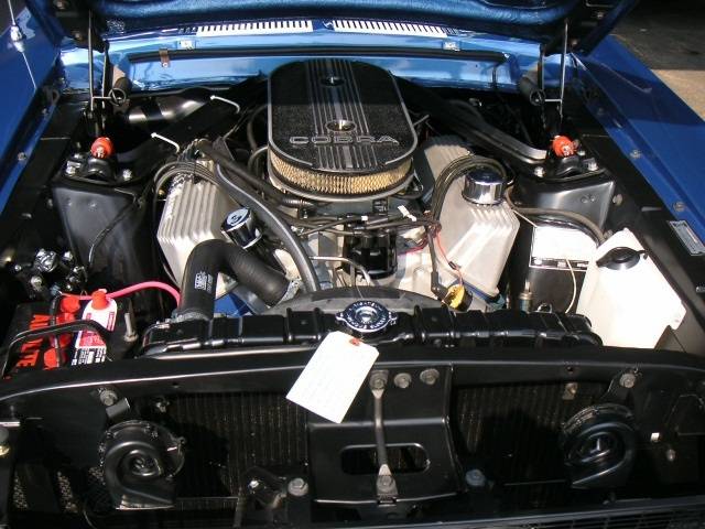 67GT500 Fherbst2.jpg