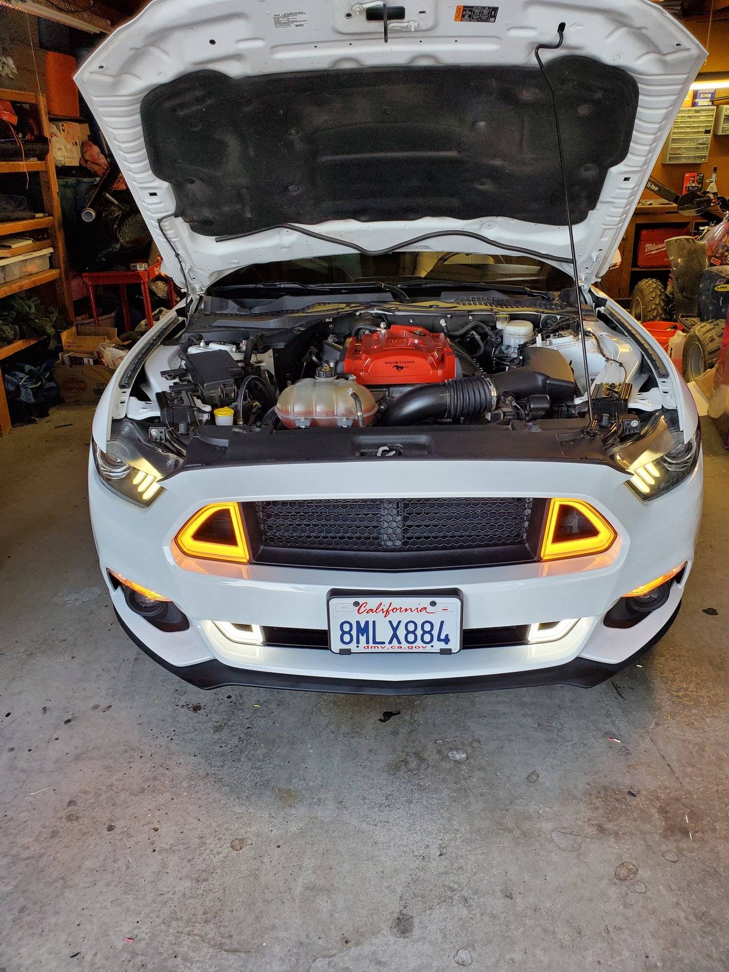 20200926_172043.jpg