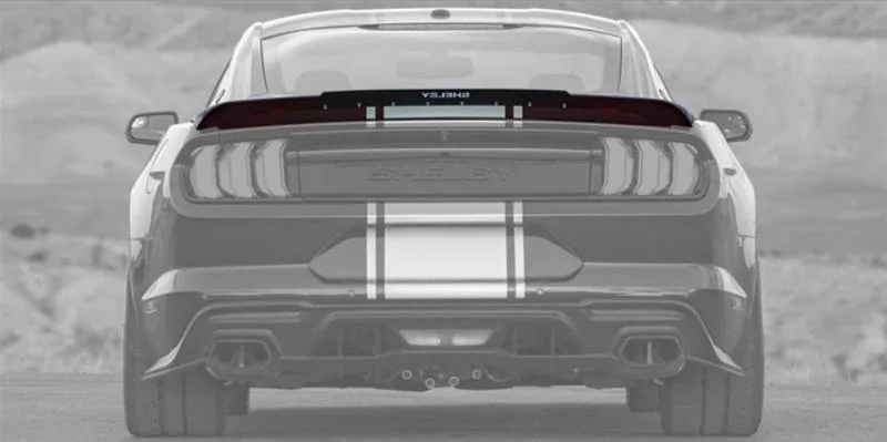 SHELBY REAR 1.jpg